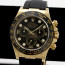 Rolex Daytona 116518LN 18K Gold Black Diamond Dial